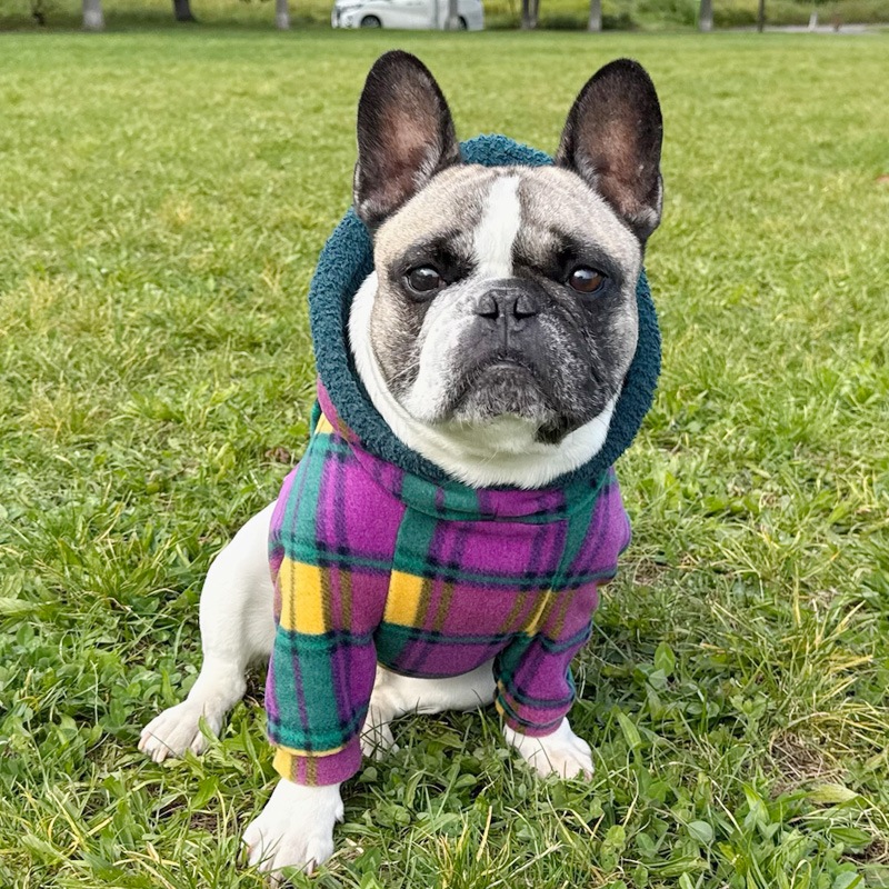 ��ͥ����å��Υե꡼���ѡ����ڥ᡼�����Բġ�