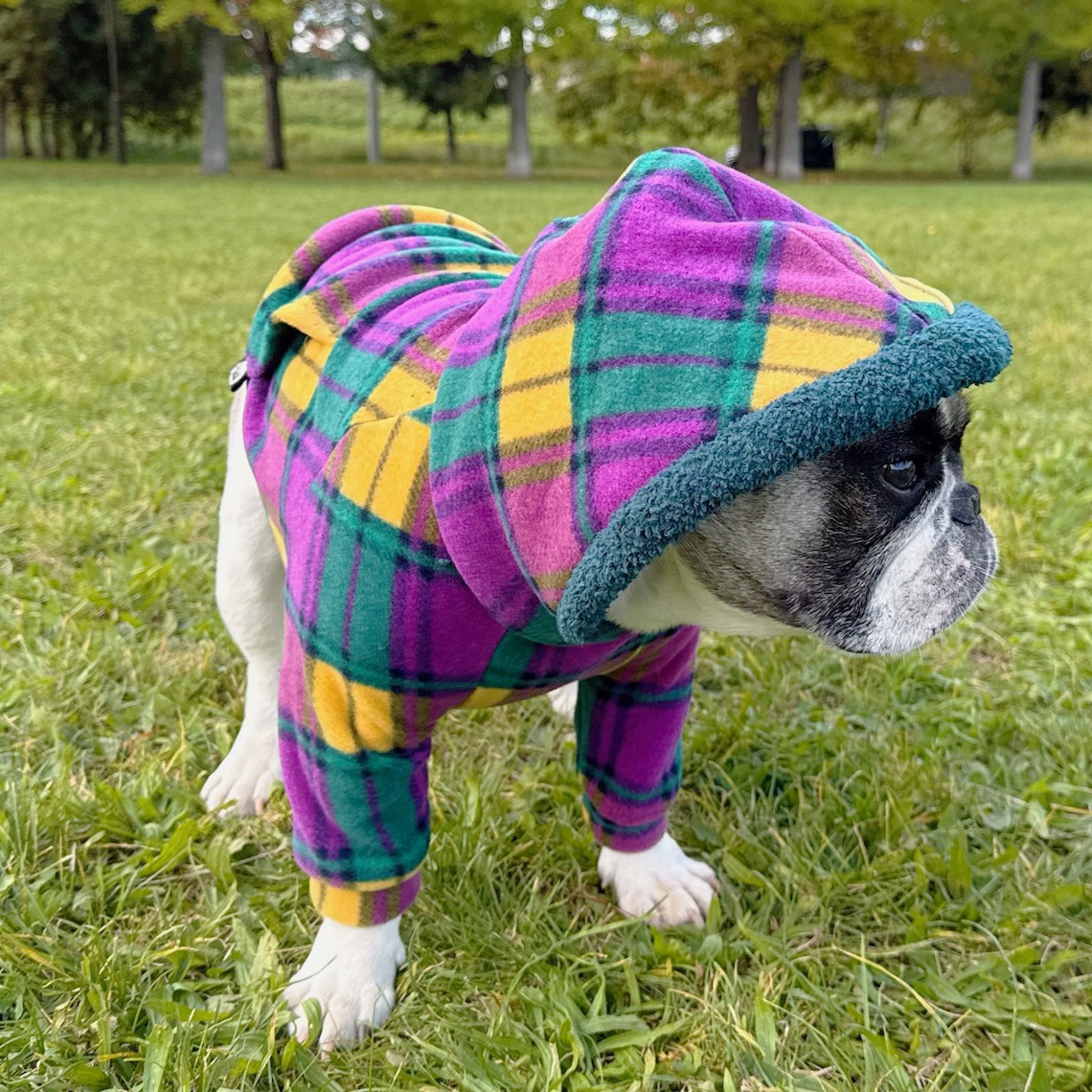 ��ͥ����å��Υե꡼���ѡ����ڥ᡼�����Բġ�