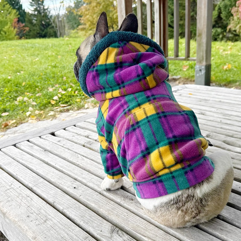 ��ͥ����å��Υե꡼���ѡ����ڥ᡼�����Բġ�