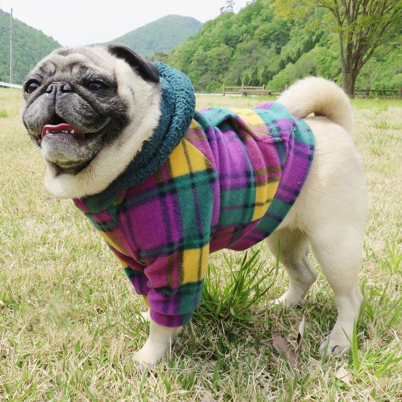 ��ͥ����å��Υե꡼���ѡ����ڥ᡼�����Բġ�