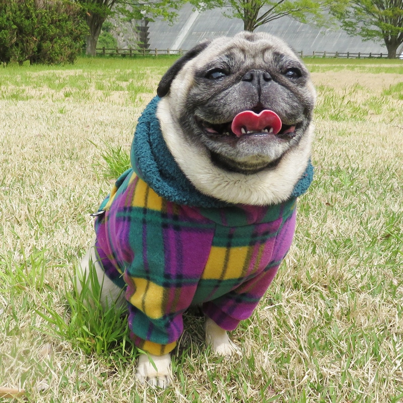 ��ͥ����å��Υե꡼���ѡ����ڥ᡼�����Բġ�