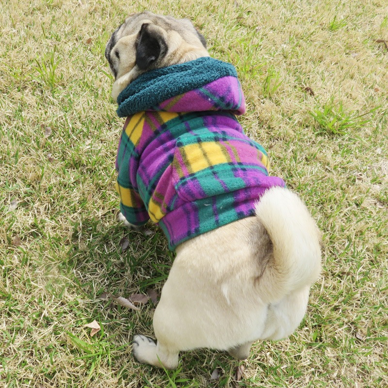 ��ͥ����å��Υե꡼���ѡ����ڥ᡼�����Բġ�