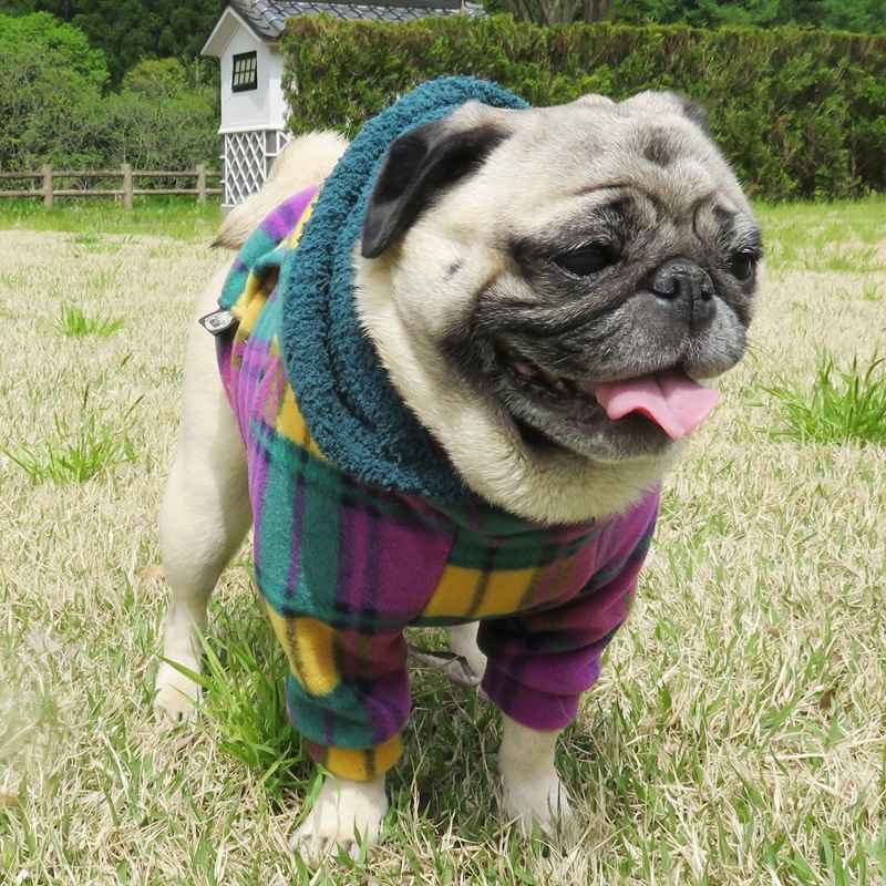 ��ͥ����å��Υե꡼���ѡ����ڥ᡼�����Բġ�