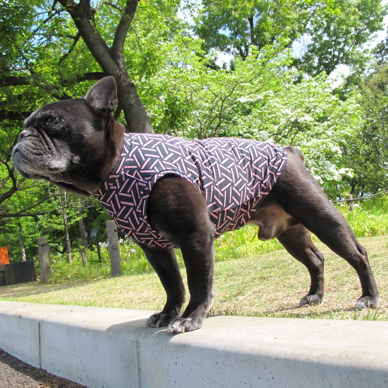 �Ĥ�S�������Τߡ�������쥹�ѥ���������T���󥯥ȥåס�T�����2��or���󥯥ȥå�1���T�����1��ϥ᡼���زġ�