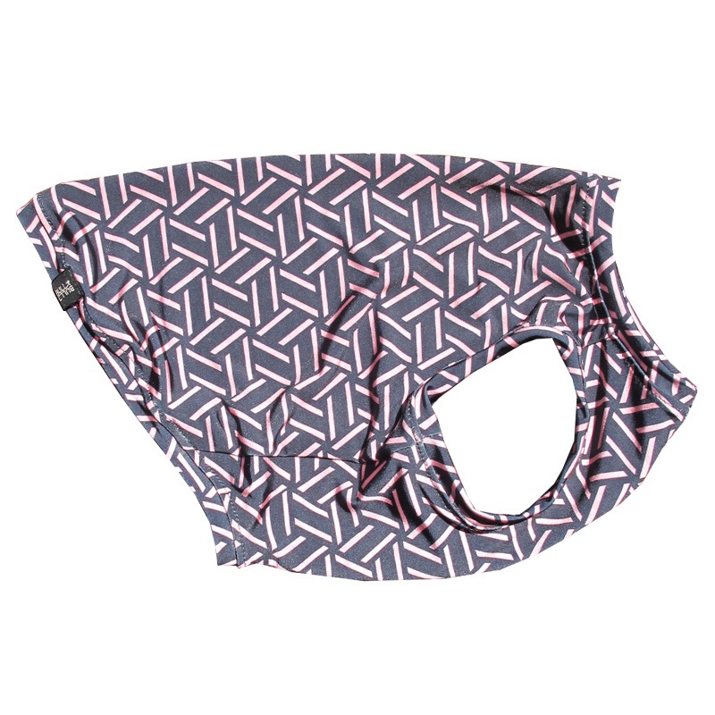 �Ĥ�S�������Τߡ�������쥹�ѥ���������T���󥯥ȥåס�T�����2��or���󥯥ȥå�1���T�����1��ϥ᡼���زġ�