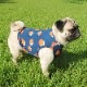 �ۥ���θ����󥯥ȥåס�T�����2��or���󥯥ȥå�1���T�����1��ϥ᡼���زġ�