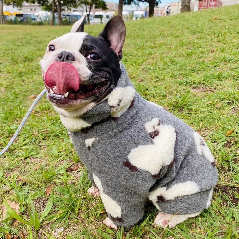 �Ӥ�Ω�ΰ��̥��������ڥ᡼�����Բġ�