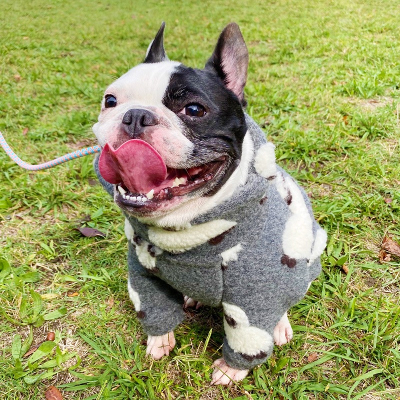 �Ӥ�Ω�ΰ��̥��������ڥ᡼�����Բġ�