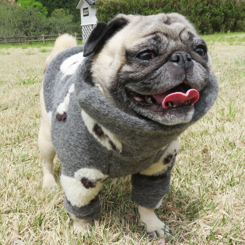 �Ӥ�Ω�ΰ��̥��������ڥ᡼�����Բġ�