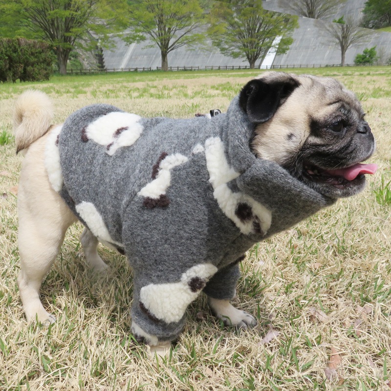 �Ӥ�Ω�ΰ��̥��������ڥ᡼�����Բġ�