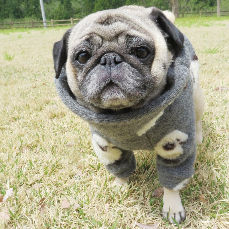 �Ӥ�Ω�ΰ��̥��������ڥ᡼�����Բġ�