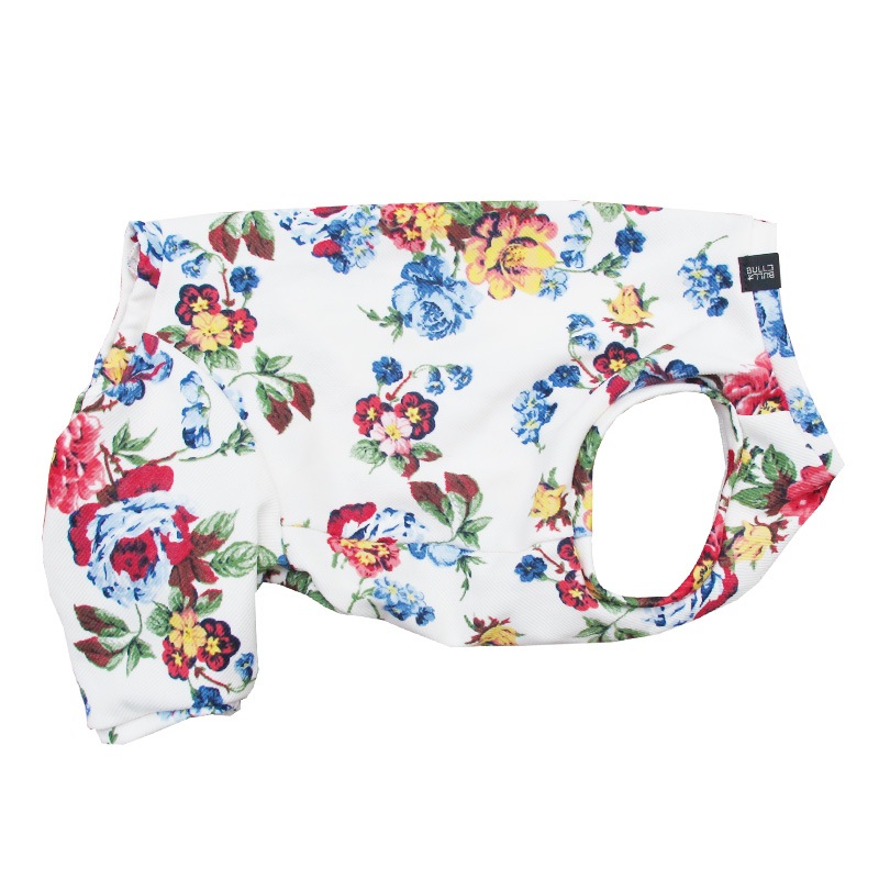 ���󥰥�å��奬���ǥ�ƤĤʤ��ڲƤĤʤ�2��or�ƤĤʤ�1���T�����(����)1��ϥ᡼���زġ�