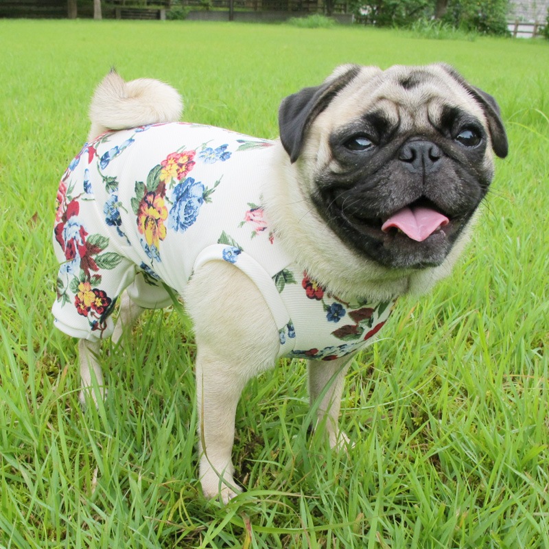 ���󥰥�å��奬���ǥ�ƤĤʤ��ڲƤĤʤ�2��or�ƤĤʤ�1���T�����(����)1��ϥ᡼���زġ�