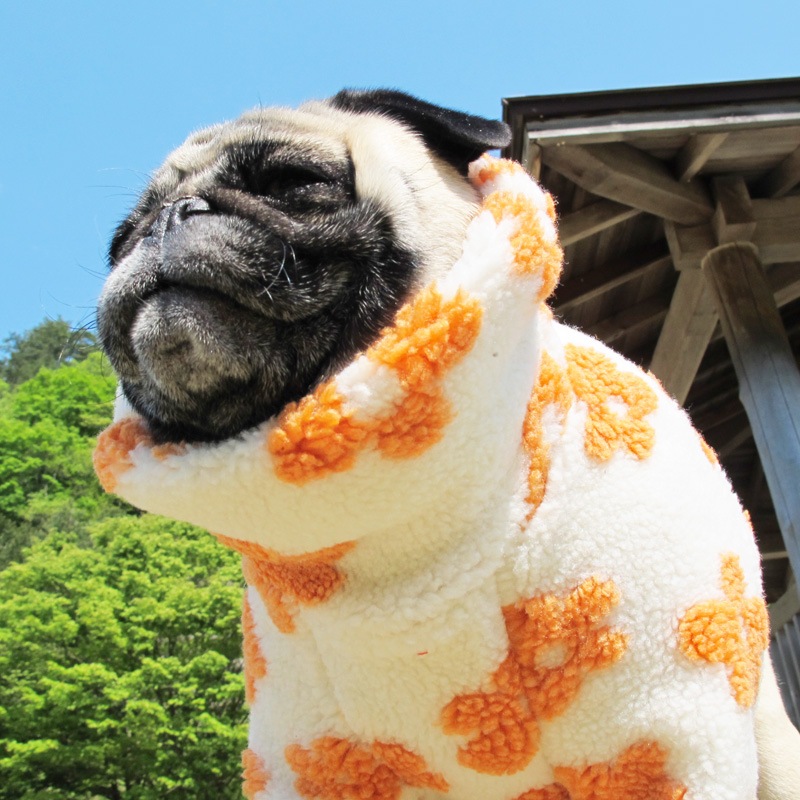 ĤSΤߡ󥸤֤Τ⤳⤳ܥȥ졼ʡڥ᡼Բġ