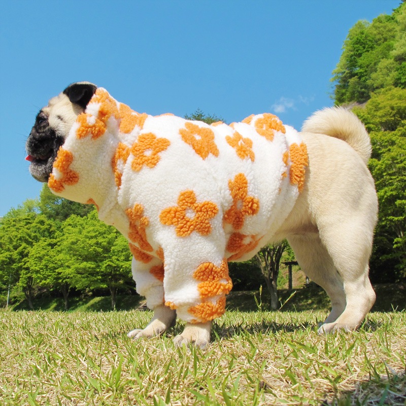 ĤSΤߡ󥸤֤Τ⤳⤳ܥȥ졼ʡڥ᡼Բġ