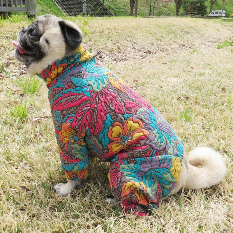 12/9 21�����䳫�ϡ��դäѤȤ��֤Υ���ƥ��󥰥��㡼�����Ĥʤ��ڥ᡼�����Բġ�