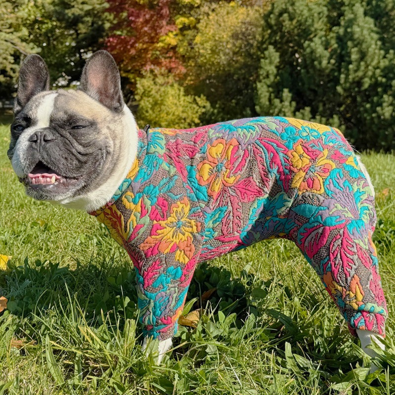 12/9 21�����䳫�ϡ��դäѤȤ��֤Υ���ƥ��󥰥��㡼�����Ĥʤ��ڥ᡼�����Բġ�