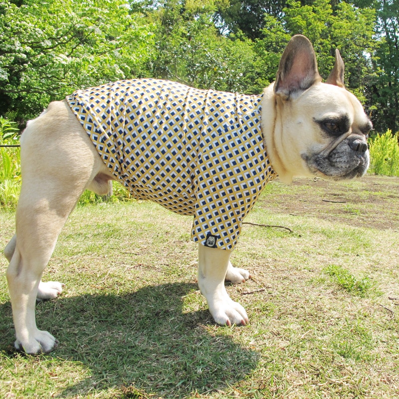 �ͳѤȥ������ʥץ���T����ġ�T�����2��or���󥯥ȥå�1���T�����1��ϥ᡼���زġ�