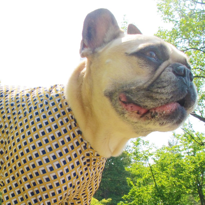 �ͳѤȥ������ʥץ���T����ġ�T�����2��or���󥯥ȥå�1���T�����1��ϥ᡼���زġ�