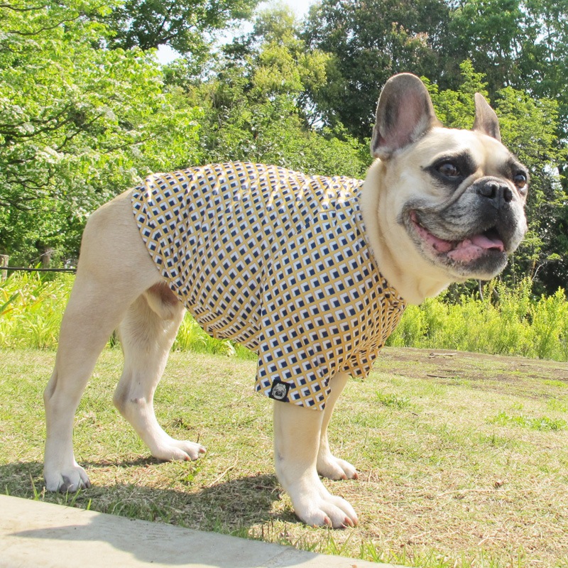 �ͳѤȥ������ʥץ���T����ġ�T�����2��or���󥯥ȥå�1���T�����1��ϥ᡼���زġ�