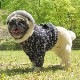 �ĥ����ɤߤ����ʥ���ƥ��󥰥ѡ����ڥ᡼�����Բġ�