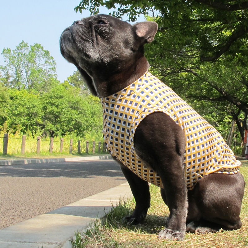 �ͳѤȥ������ʥץ��ȥ��󥯥ȥåס�T�����2��or���󥯥ȥå�1���T�����1��ϥ᡼���زġ�