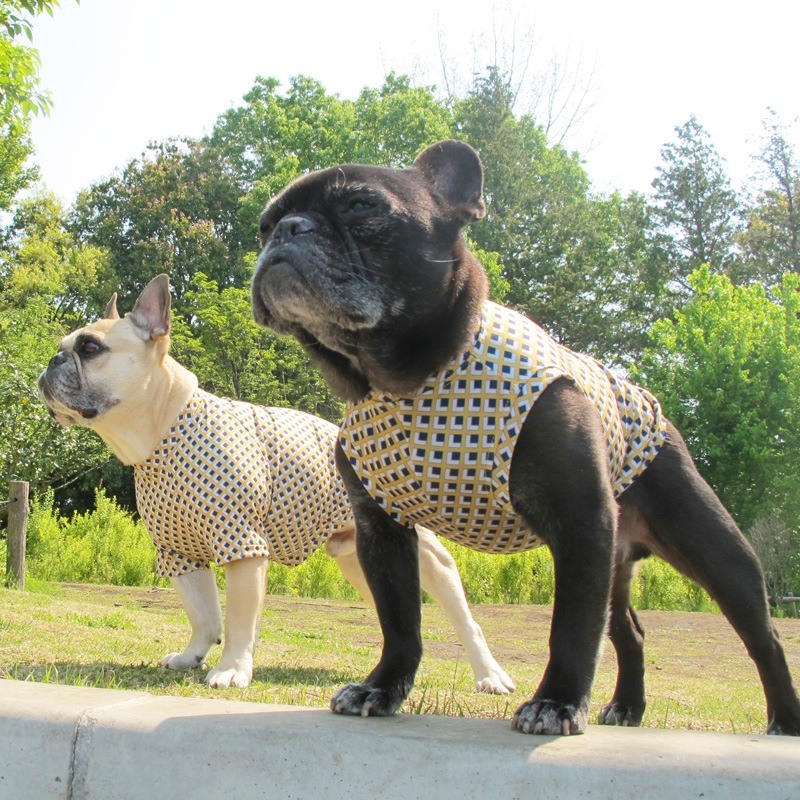 �ͳѤȥ������ʥץ��ȥ��󥯥ȥåס�T�����2��or���󥯥ȥå�1���T�����1��ϥ᡼���زġ�