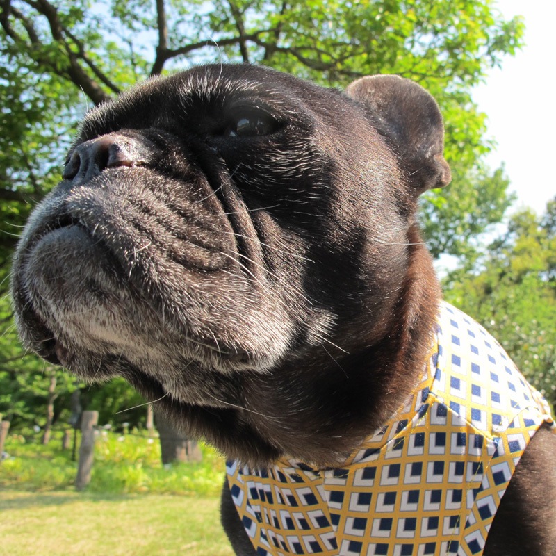 �ͳѤȥ������ʥץ��ȥ��󥯥ȥåס�T�����2��or���󥯥ȥå�1���T�����1��ϥ᡼���زġ�