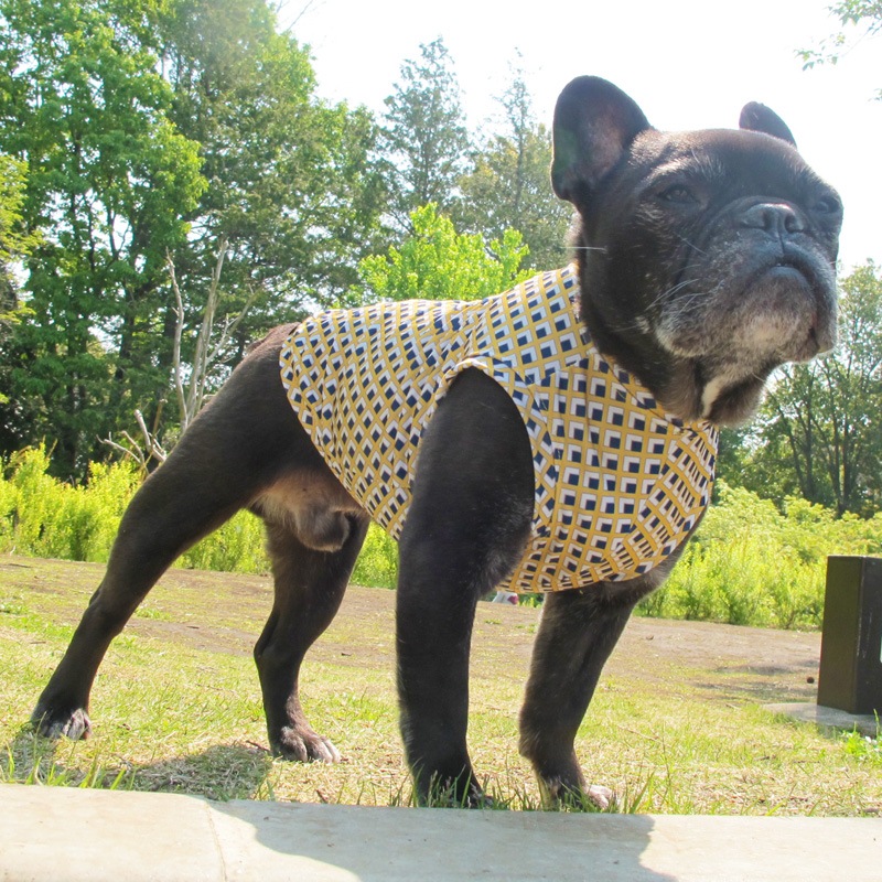 �ͳѤȥ������ʥץ��ȥ��󥯥ȥåס�T�����2��or���󥯥ȥå�1���T�����1��ϥ᡼���زġ�