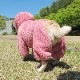 ������ۥա����դĤʤ��ʥ���ƥ������ԥ󥯡ˡڥ᡼�����Բġ�