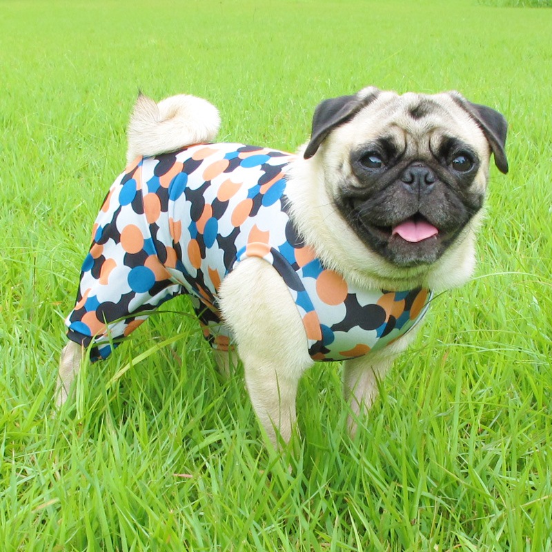 �ɤäȥɥåȥץ��ȲƤĤʤ��ڲƤĤʤ�2��or�ƤĤʤ�1���T�����(����)1��ϥ᡼���زġ�