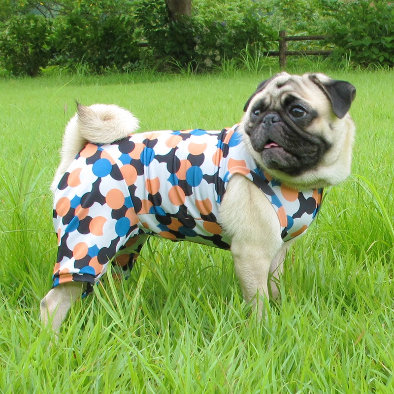 �ɤäȥɥåȥץ��ȲƤĤʤ��ڲƤĤʤ�2��or�ƤĤʤ�1���T�����(����)1��ϥ᡼���زġ�