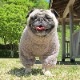�Ĥ�S�������Τߡ�������ۤĤʤ��ʥ��å��奰�졼�ˡڥ᡼�����Բġ�