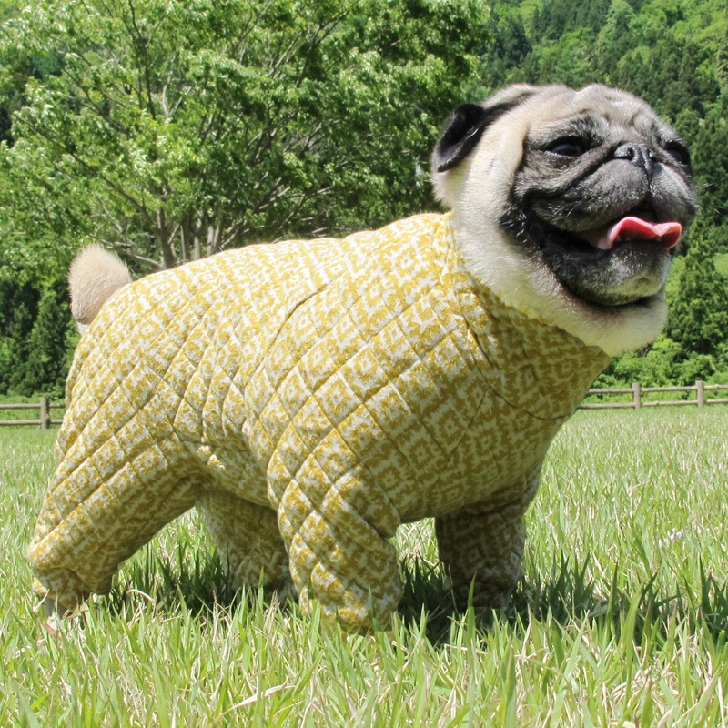 ����ӥ����ͤäݤ�����ƥ��󥰥��㡼�����Ĥʤ��ڥ᡼�����Բġ�