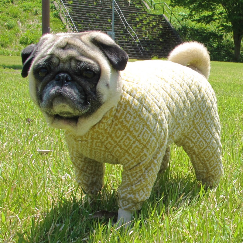 ����ӥ����ͤäݤ�����ƥ��󥰥��㡼�����Ĥʤ��ڥ᡼�����Բġ�