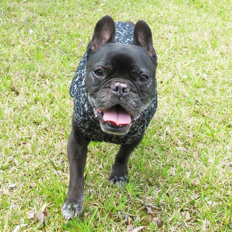 ͥåסߥƥ󥰤Υӥ٥ȡڰΤߥ᡼زġ