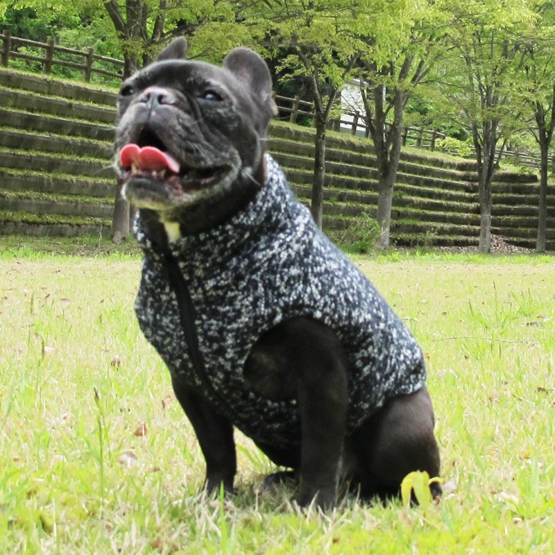 ͥåסߥƥ󥰤Υӥ٥ȡڰΤߥ᡼زġ