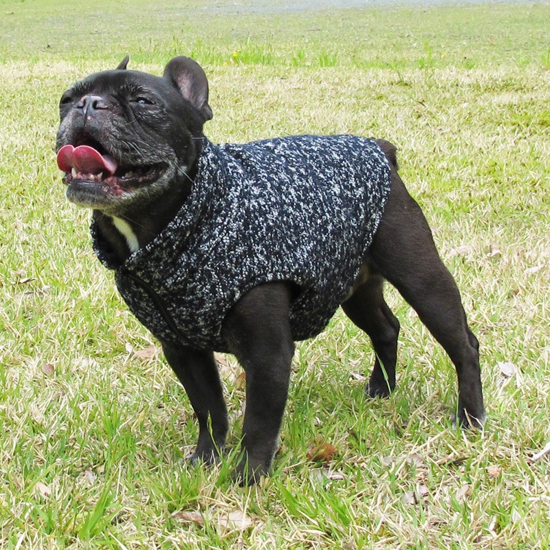 ͥåסߥƥ󥰤Υӥ٥ȡڰΤߥ᡼زġ