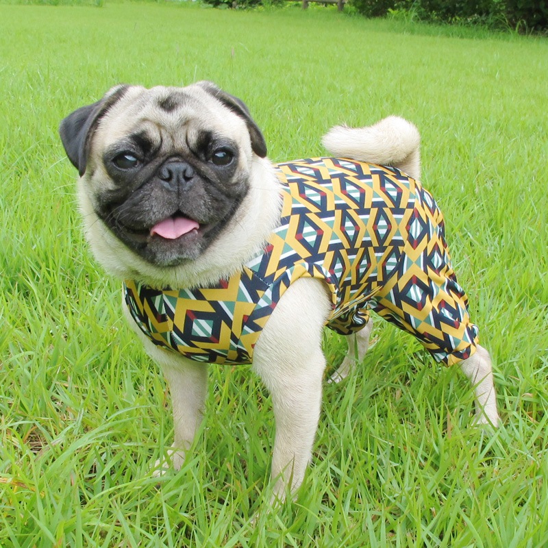 �ܥ֡��ޡ��꡼�ˤʤꤿ���ƤĤʤ��ڲƤĤʤ�2��or�ƤĤʤ�1���T�����(����)1��ϥ᡼���زġ�