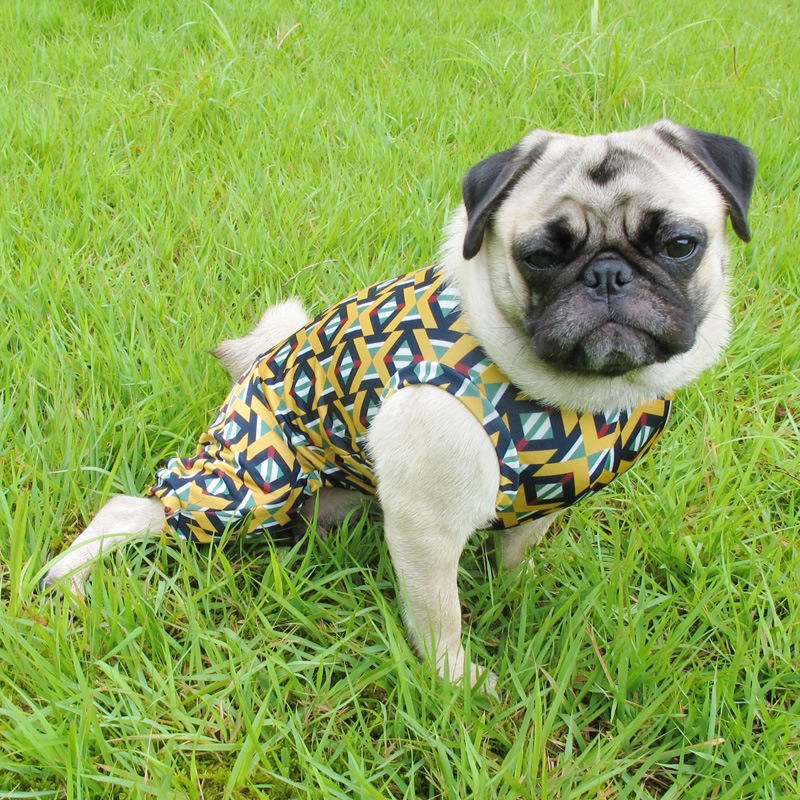 �ܥ֡��ޡ��꡼�ˤʤꤿ���ƤĤʤ��ڲƤĤʤ�2��or�ƤĤʤ�1���T�����(����)1��ϥ᡼���زġ�