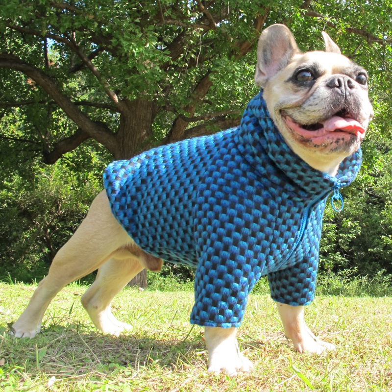 ʥ֥롼Υϥͥå㥱åȡڥ᡼Բġ