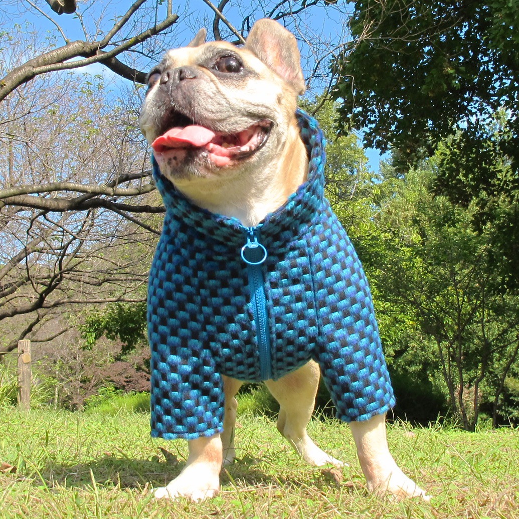 ʥ֥롼Υϥͥå㥱åȡڥ᡼Բġ