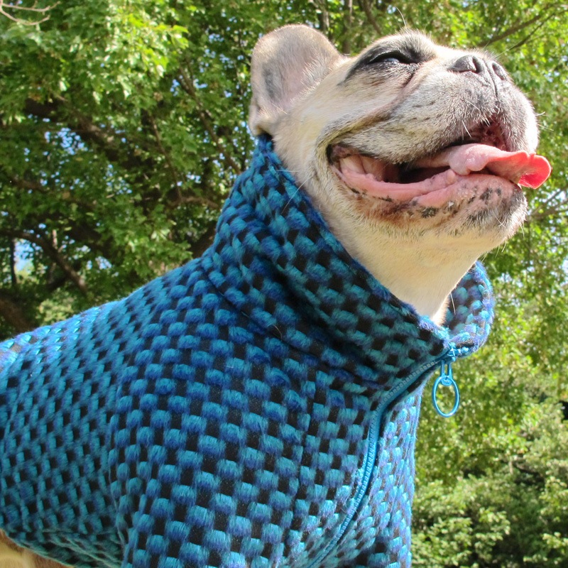 ʥ֥롼Υϥͥå㥱åȡڥ᡼Բġ