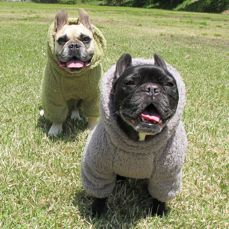 ������ۥա����դĤʤ��ʥ��å��奰�졼�ˡڥ᡼�����Բġ�