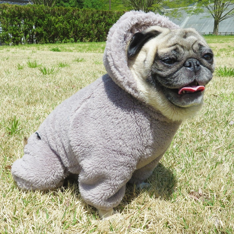 ������ۥա����դĤʤ��ʥ��å��奰�졼�ˡڥ᡼�����Բġ�