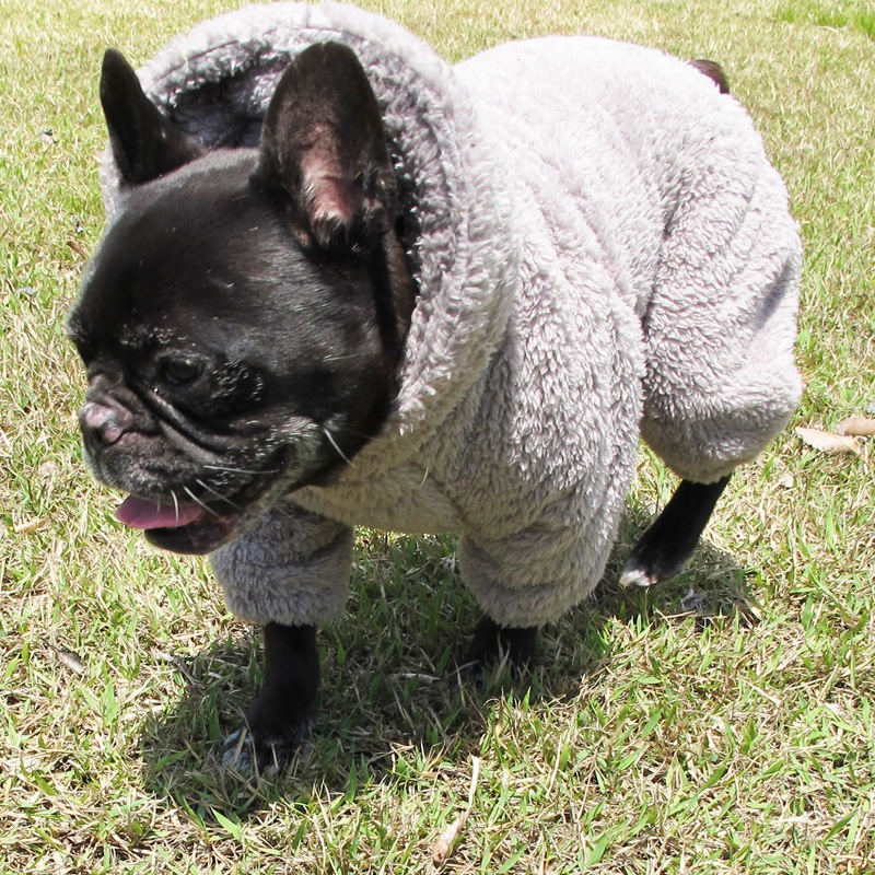 ������ۥա����դĤʤ��ʥ��å��奰�졼�ˡڥ᡼�����Բġ�