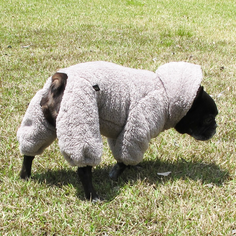 ������ۥա����դĤʤ��ʥ��å��奰�졼�ˡڥ᡼�����Բġ�