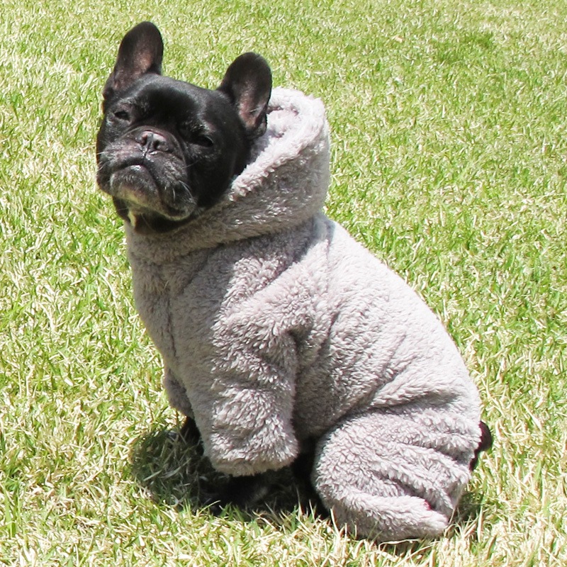 ������ۥա����դĤʤ��ʥ��å��奰�졼�ˡڥ᡼�����Բġ�