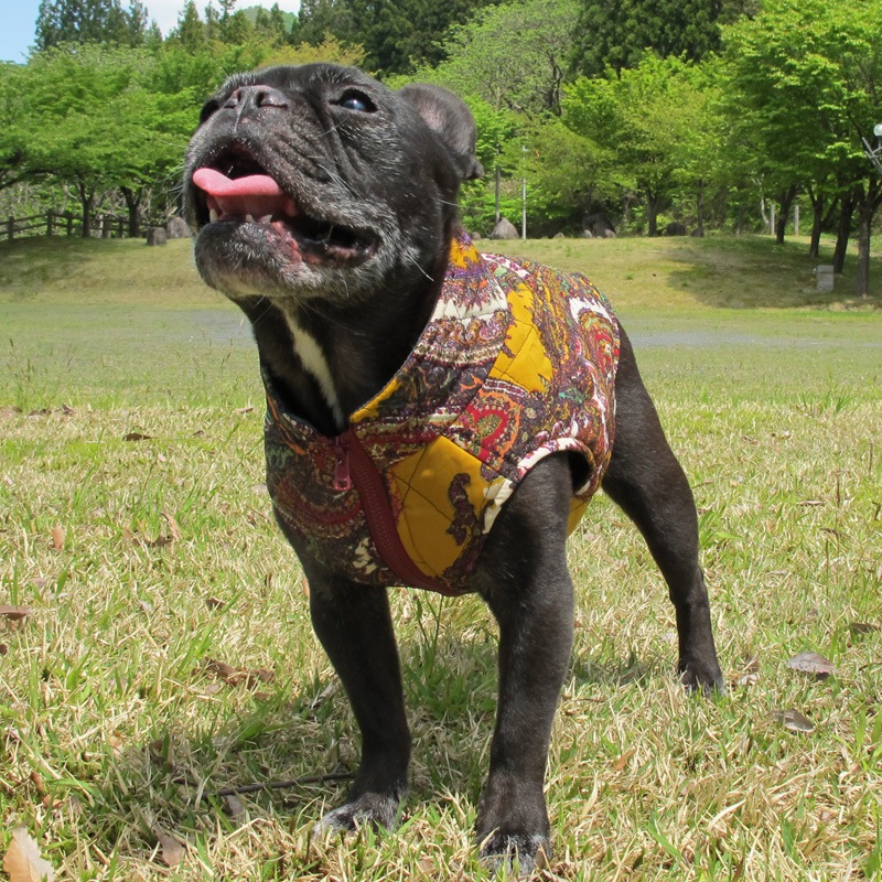 ڥ꡼٥ȡڰΤߥ᡼زġ