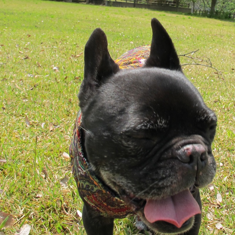 ڥ꡼٥ȡڰΤߥ᡼زġ